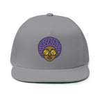 Afro Embroidered Flat Bill Cap