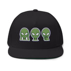 Alien Embroidered Flat Bill Cap
