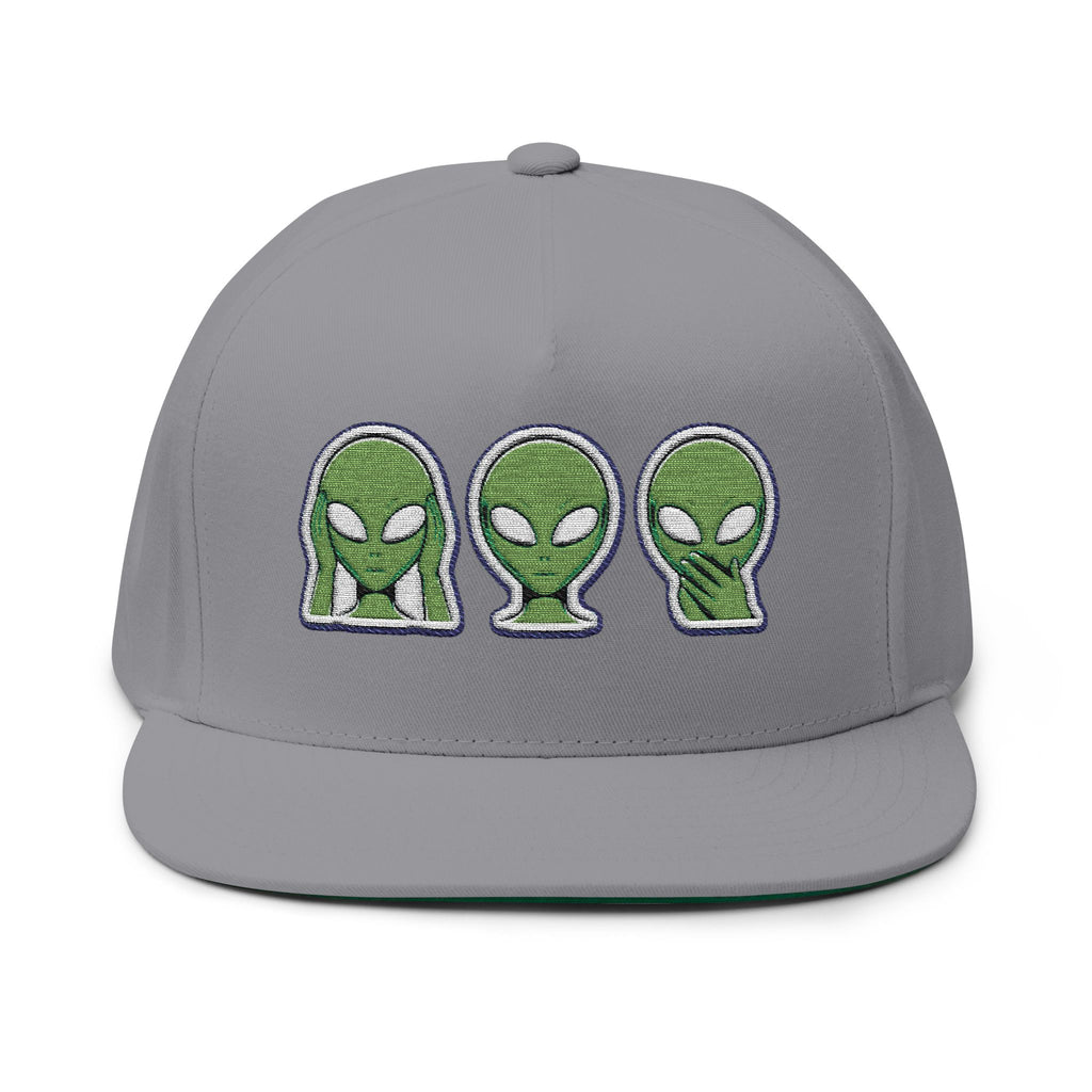 Alien Embroidered Flat Bill Cap