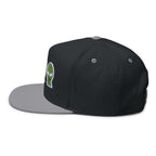 Alien Embroidered Flat Bill Cap