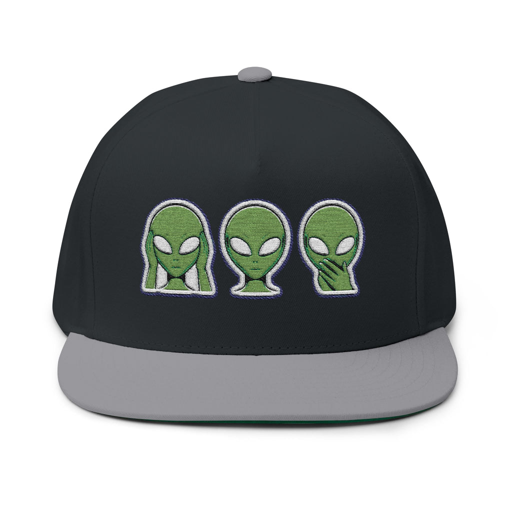 Alien Embroidered Flat Bill Cap