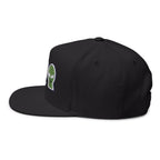 Alien Embroidered Flat Bill Cap