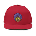 Afro Embroidered Flat Bill Cap
