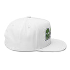 Alien Embroidered Flat Bill Cap