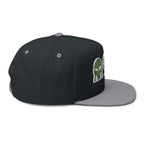 Alien Embroidered Flat Bill Cap
