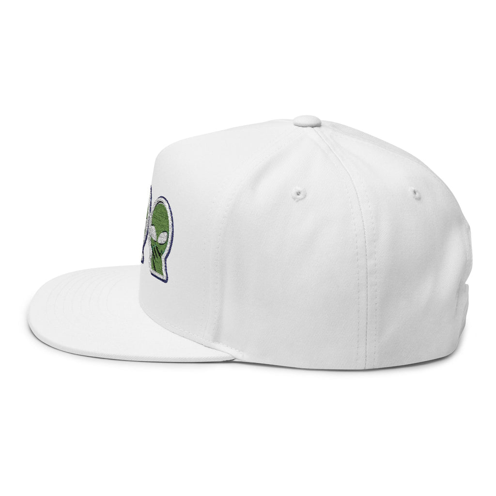 Alien Embroidered Flat Bill Cap