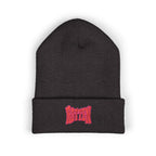Rotten Embroidered Cuffed Beanie